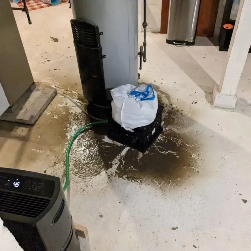 Sewage Backup Cleanup Service in Newville, PA